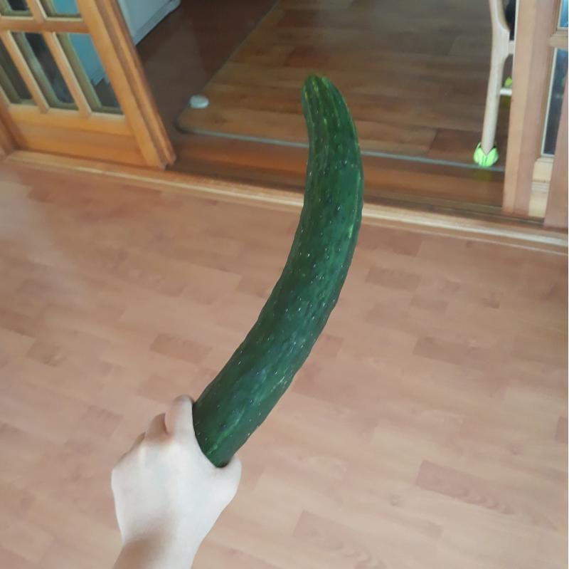 두둥탁