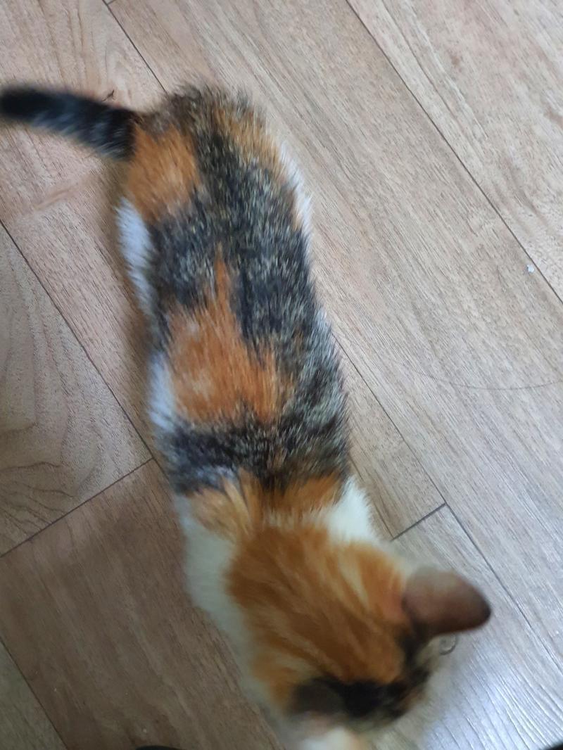 >>19 흥 우리 고양이 님의 나이스한 바디다!! 그지같이 나왔넹 젠장