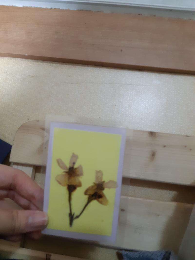 난 벚꽃 좋아해!!! 그래서 내 대표캐나 핸드폰배경 필기구 등등 왠만한건 벚꽃 문양이야! 나 고딩때는 도서관에 책갈피 만들기 이벤트 같은걸 했었