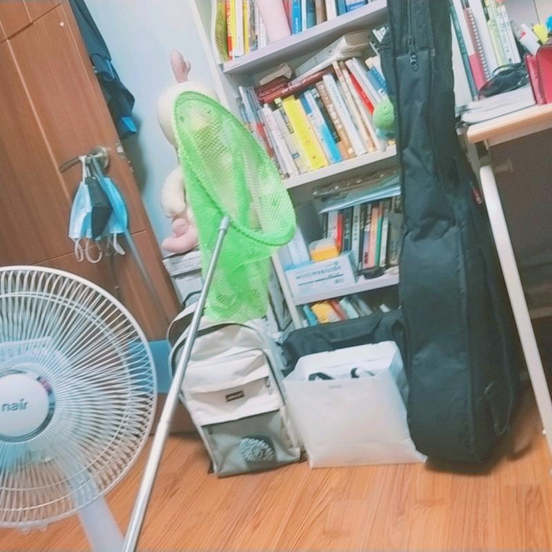 방금 엄지손가락만한 벌레가 지잉 거리면서 날아서 아빠 불렀는데 사라져서 못자는중