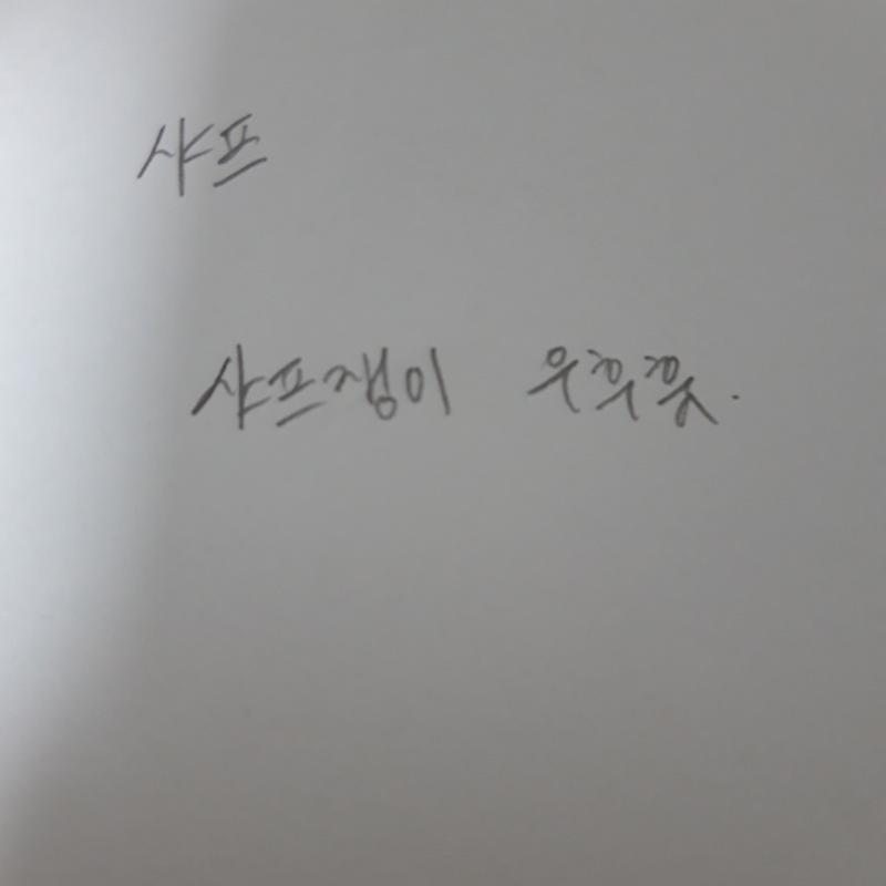 참고로 내 글씨체는 이런 식이야