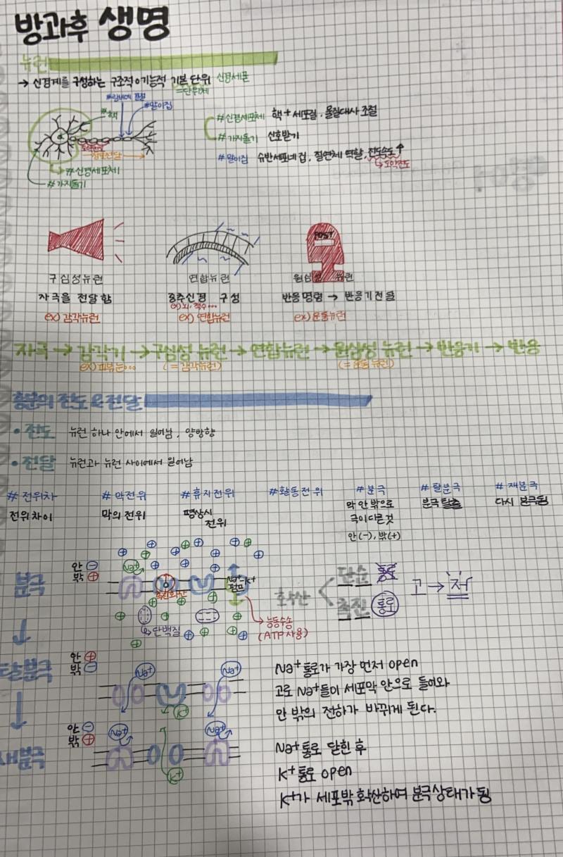 애들아 아직 목표치를 다 한 건 아닌데 나 야자하는 동안 오늘 수업에서 배운 거 정리해봤어... 공부 이런 식으로 하는 게 맞나ㅎㅎㅎㅎㅎㅎㅎㅎㅎ