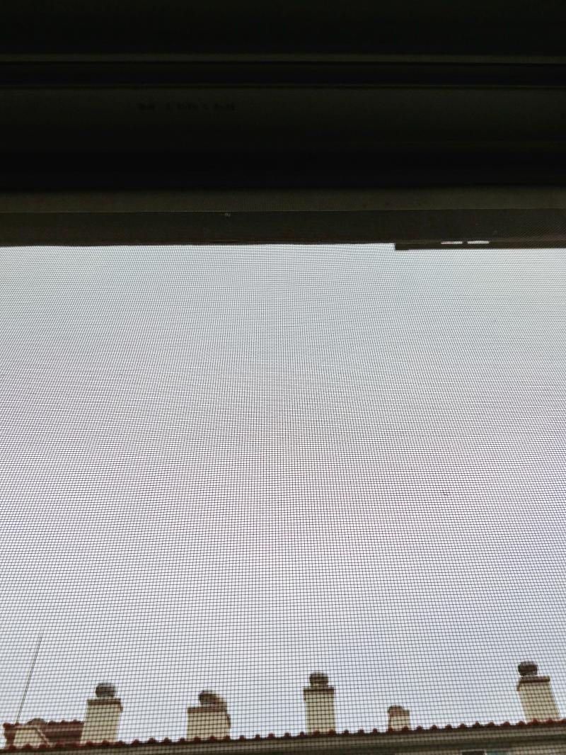 아침은 남은 돼지갈비 먹었어 오늘은 해가 뜨지 않았네.. 오늘은 안 나가도 되려나?