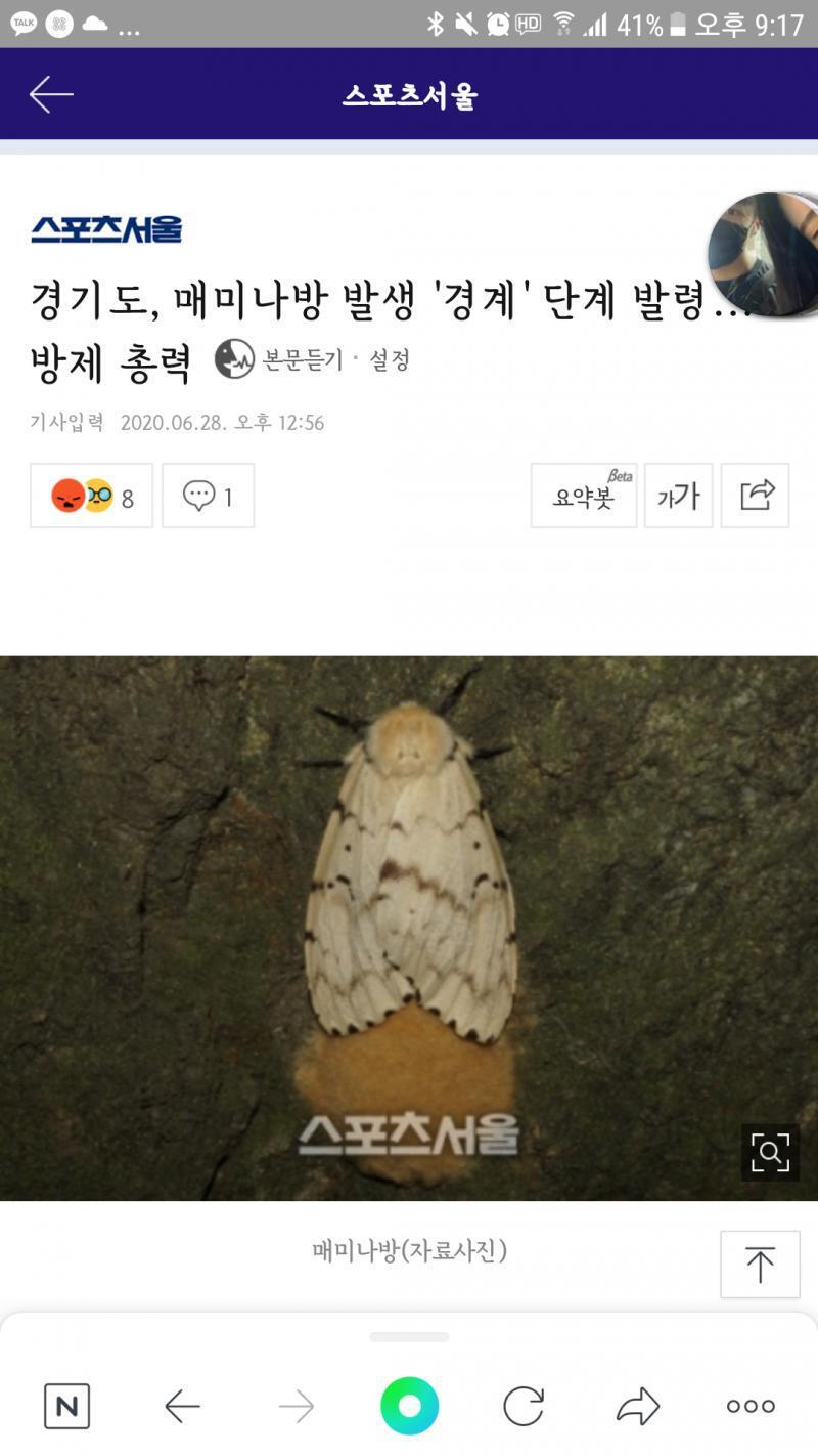 후하 이거봐...