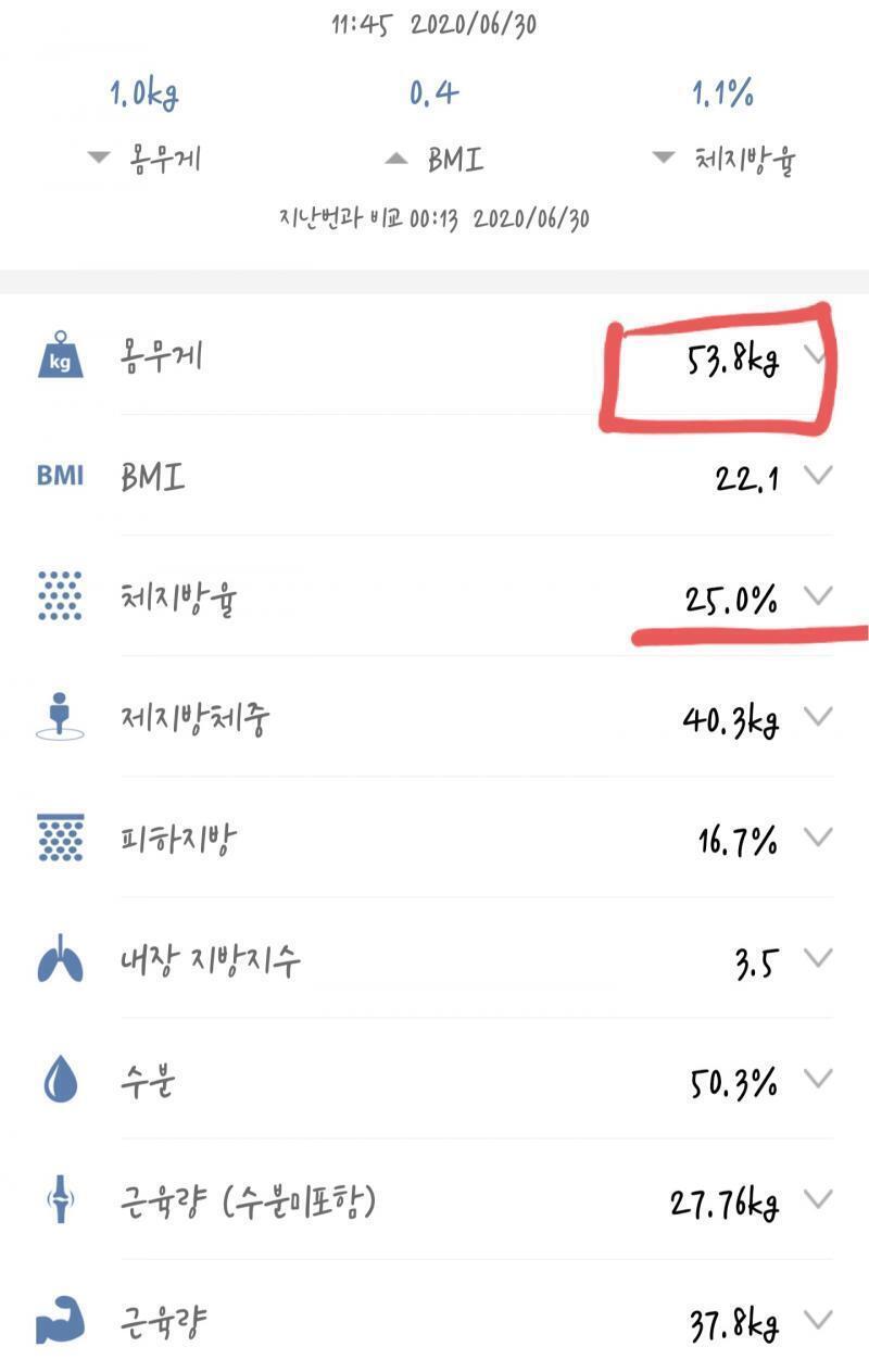 2020/6/30 D-0 아침X 점심-멸치국수 저녁-삼겹볶음밥, 삼겹살에 쌈, 요거트 운동-안 함 *일어나자마자 왼쪽 고관절이 너무 아파서 제대