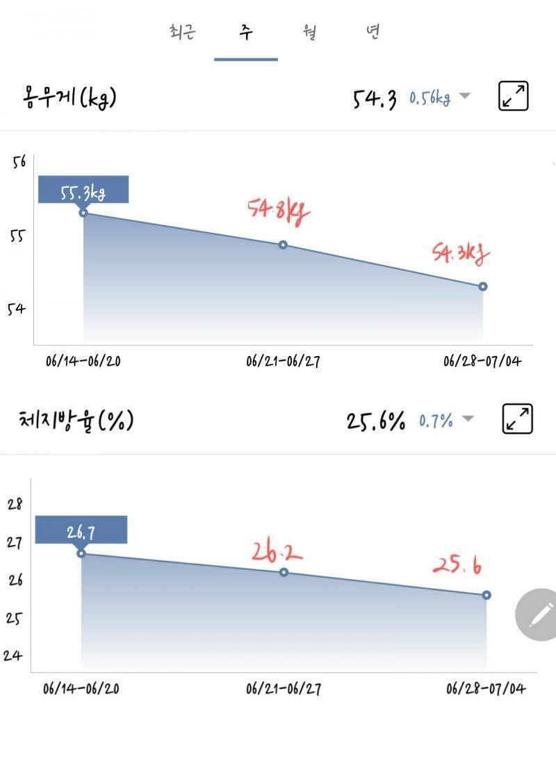 2020/6/30 D-0 아침X 점심-멸치국수 저녁-삼겹볶음밥, 삼겹살에 쌈, 요거트 운동-안 함 *일어나자마자 왼쪽 고관절이 너무 아파서 제대
