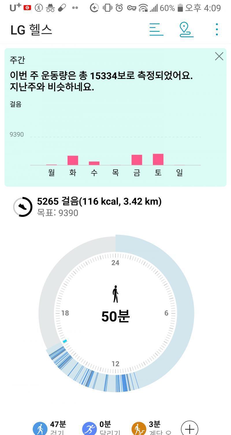 많이도 걸었네