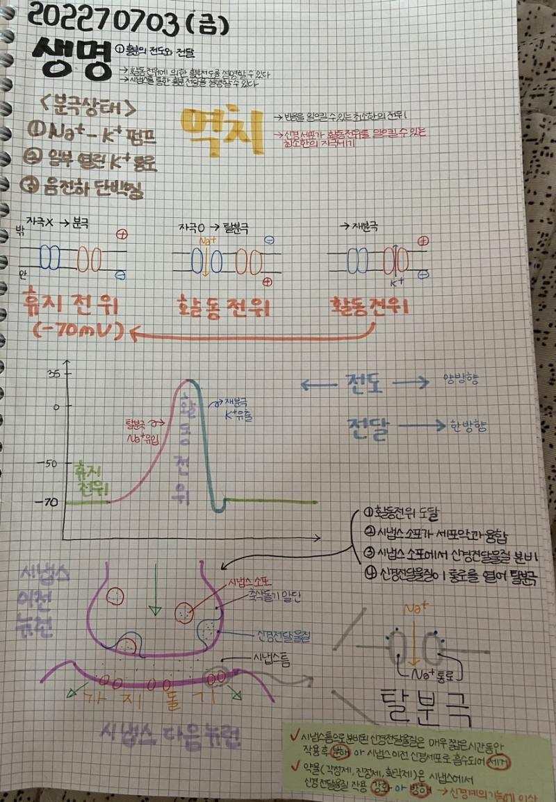 3~4일 공부인증