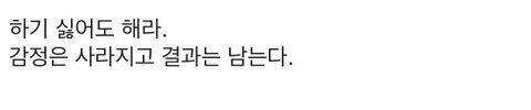 조언은 모르겠고 자극되는 짤들 가져와봐써