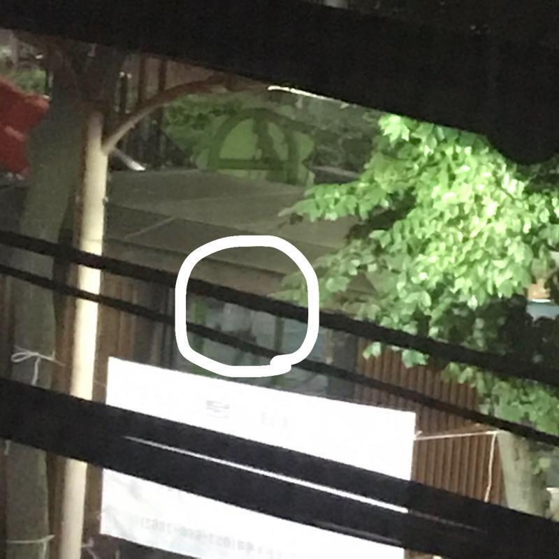 >>11 컨셉이라길래 사진 찍어 올린다 저기 가려졌지만 애 하나 보이지?ㅠㅠ 저 앞에 애들 모여서 지금 술래잡기한다고 소리 지르는데 하아...