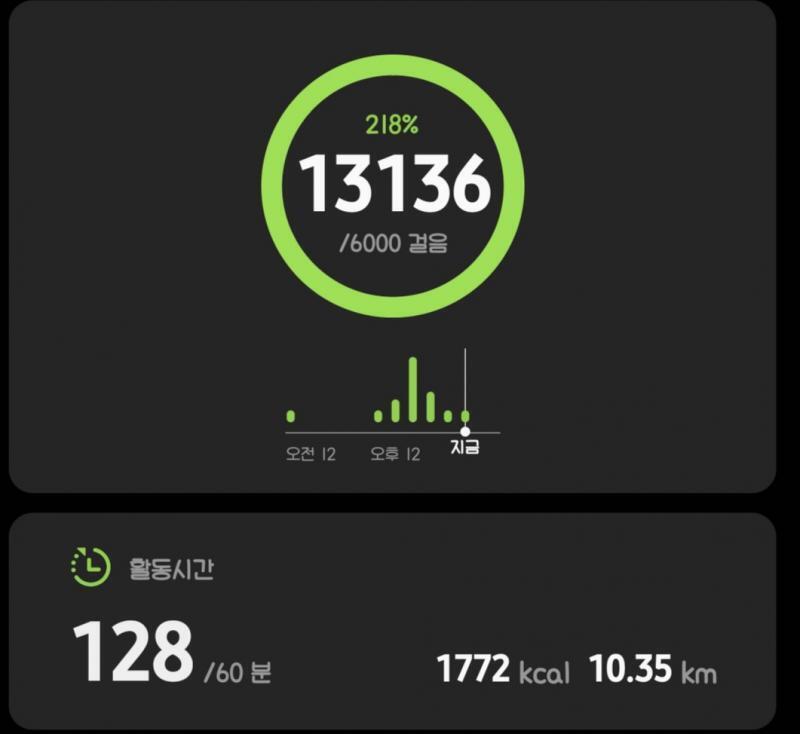 집에오는데까지 걸어서 더 늘긴했다 ㅋㅋㅋㅋ 지금 좀 더위먹은듯?