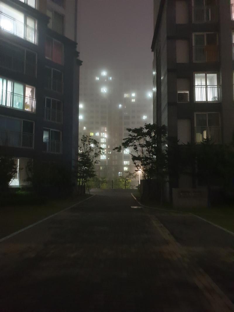 맞아 며칠전에 안개 심했을때 찍은 사진 묘하게 예쁘지 않니 근데 진짜 안개 겁나 심해서 우와...우와....했음 이 사진보다 훨씬 안 보였다고