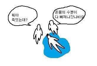 혹시 이런거라던가?