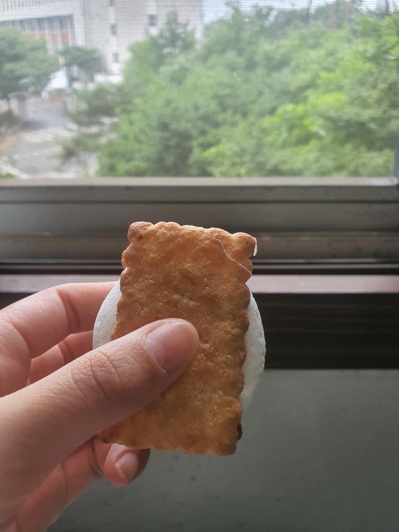 >>3 자 던진다?! 잘 받아먹으삼