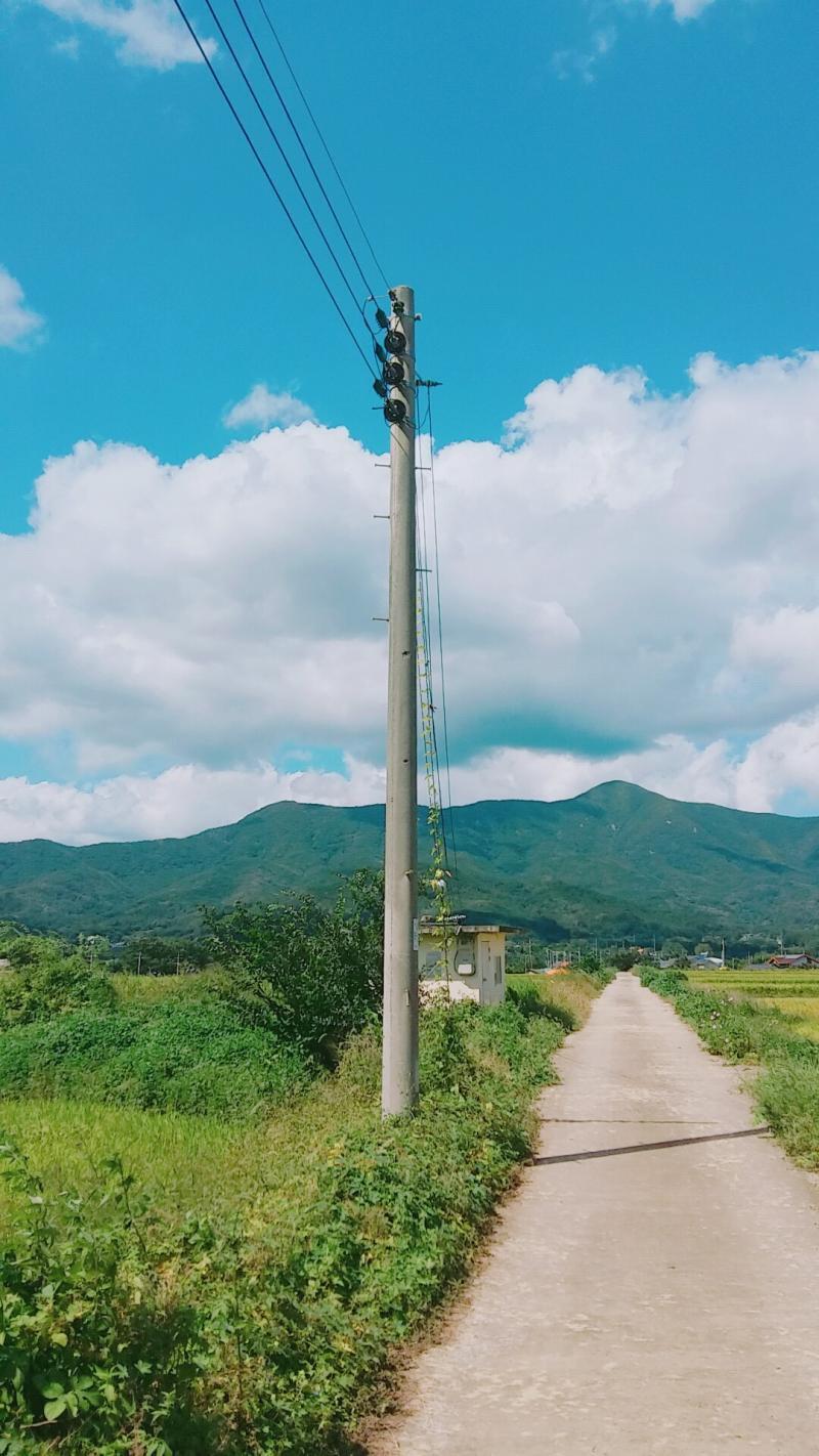 이거 내 인생샷임