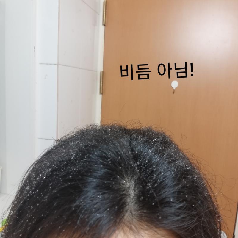 물 틀었는데 샤워기에서 물나옴ㅋㅋㅋㅋ큐ㅠㅠㅠㅠㅠ