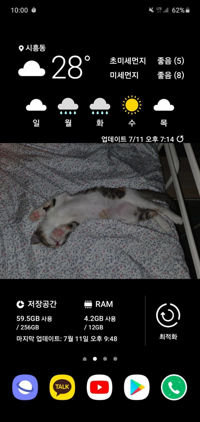 그냥 ㅈㄴ 간단한데 막내 냥이가 멱살잡고 열심히 꾸민 척 할 수 있게 도와준다