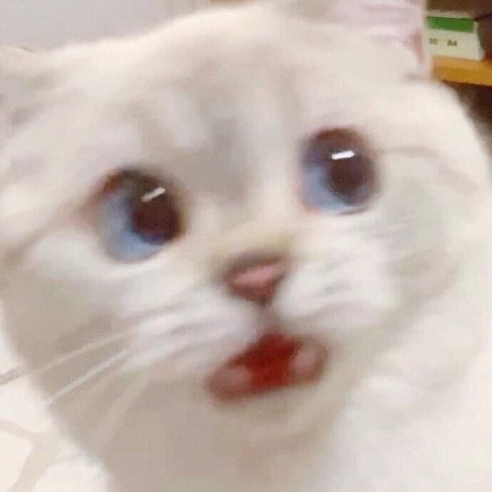 으악 이게 모야