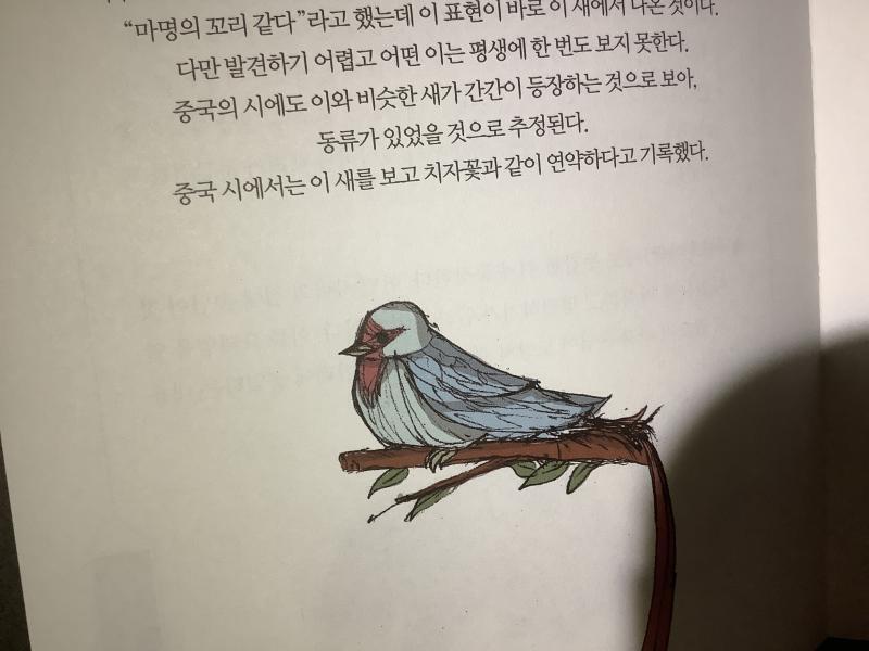 귀엽다 ㅎㅎ