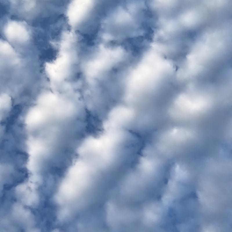 얘네는 최근에 찍은거!! 구름 너무 예뻐...☁️