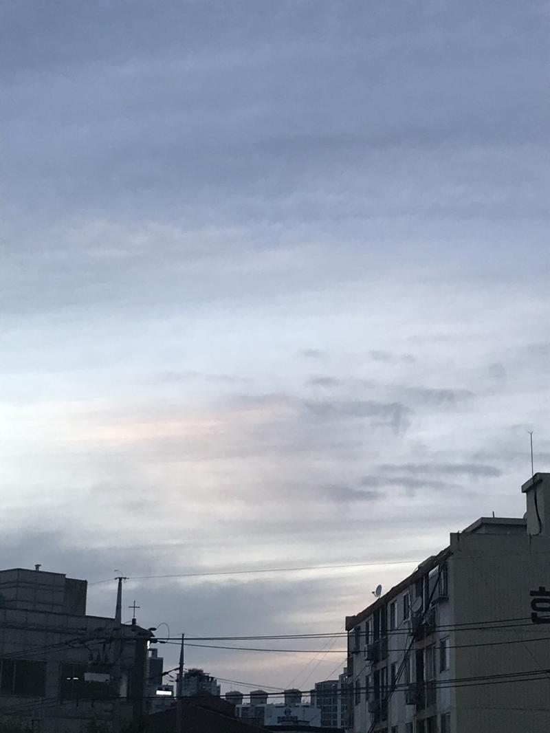 얘네는 최근에 찍은거!! 구름 너무 예뻐...☁️
