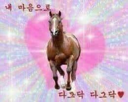 >>20 너의 마음 속으로 다그닥❤️