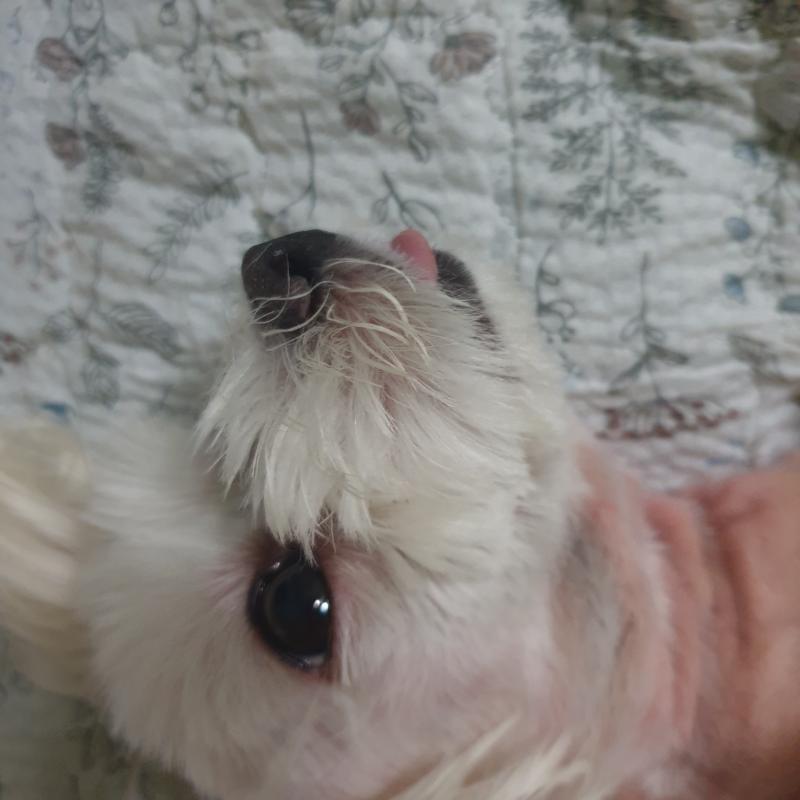 사진 세장더잏다 딱기다려라