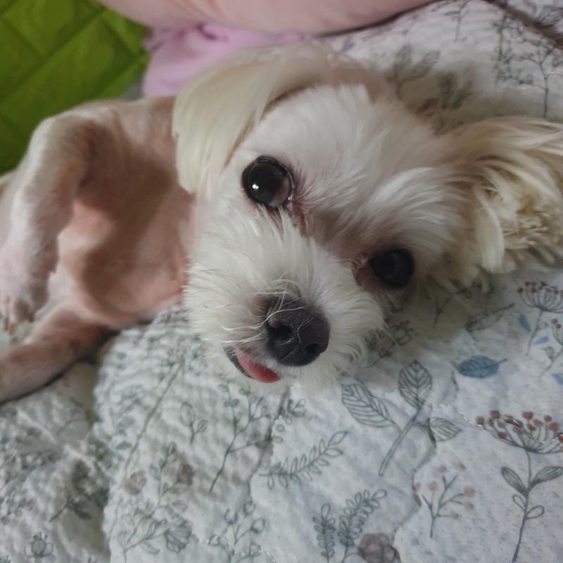 사진 세장더잏다 딱기다려라