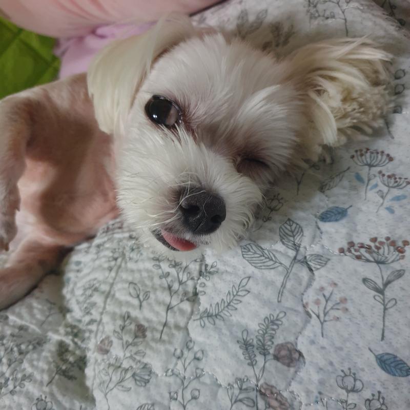 사진 세장더잏다 딱기다려라