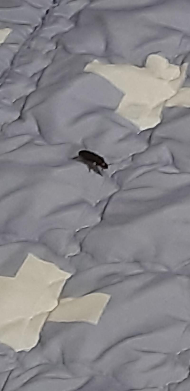이거 확대한거거든