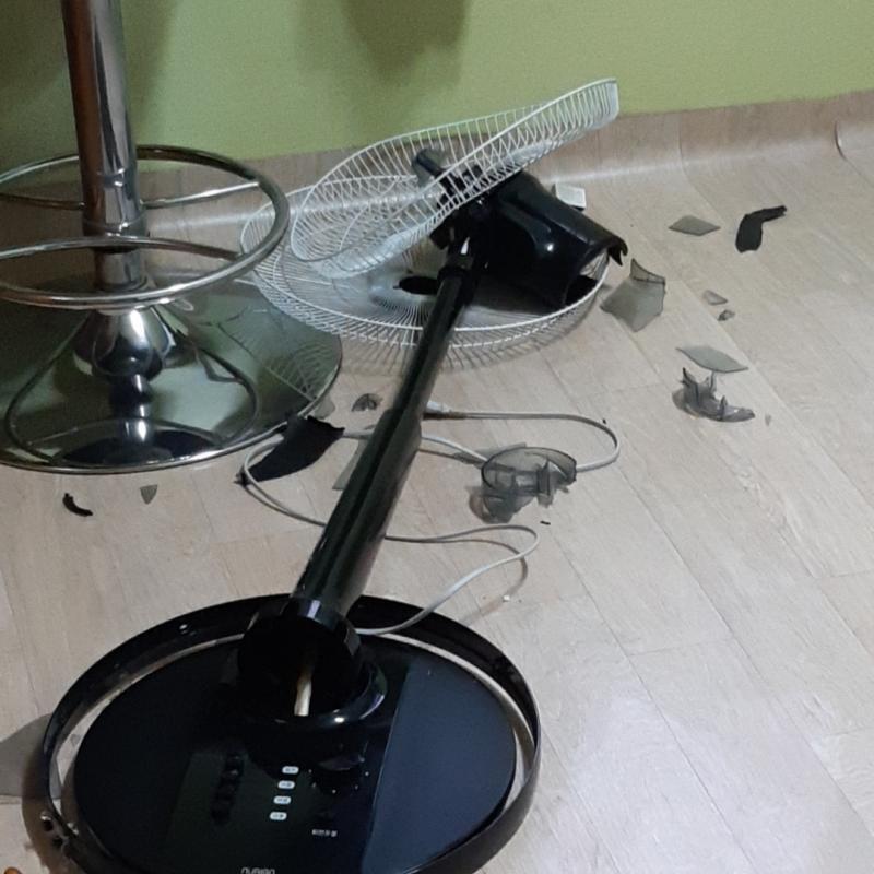 진짜 개 싫어