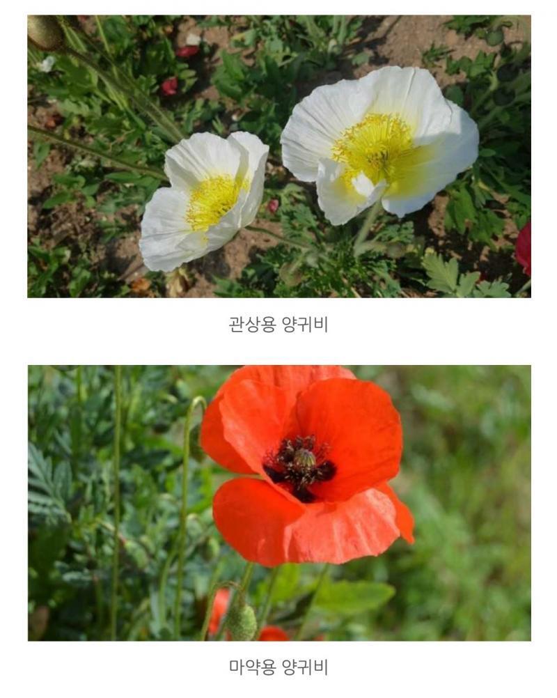 반점이 있긴 있어