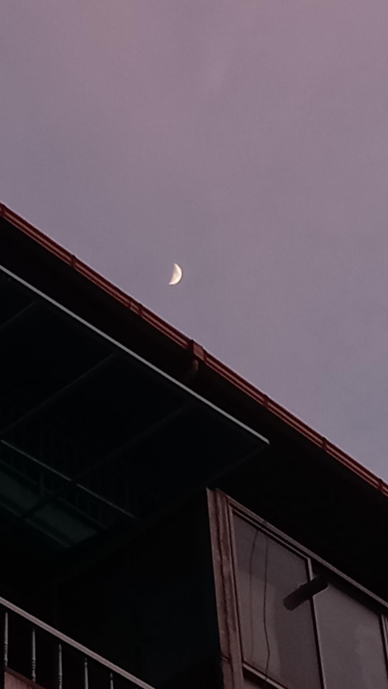 힛