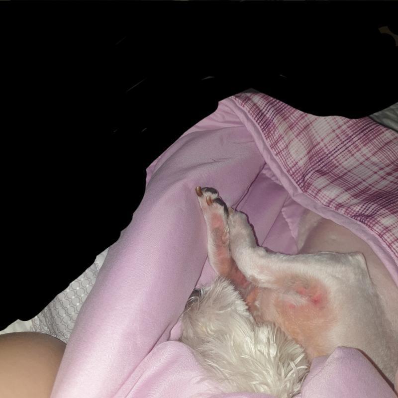 귀여워ㅠㅠㅠㅠㅠ