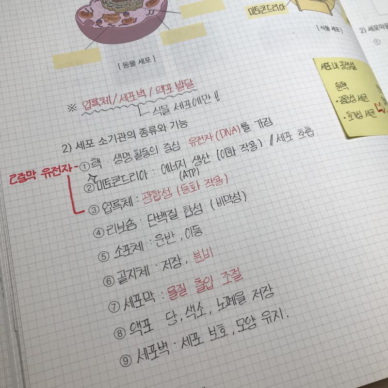 과학 암기할 거 너무 많아...
