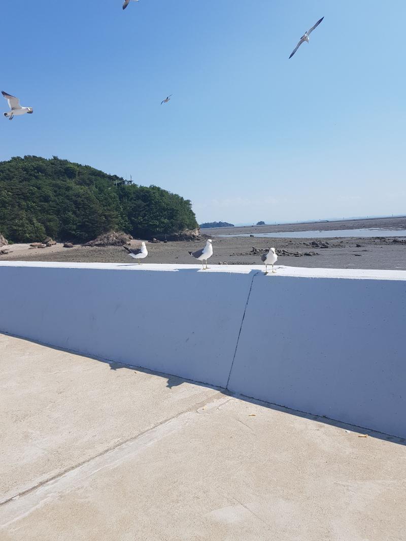 촥 촥 촥