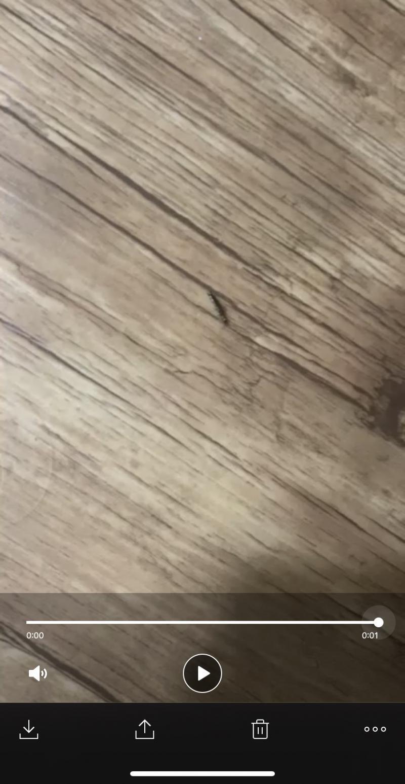 이거ㅠ 기어다님 으악