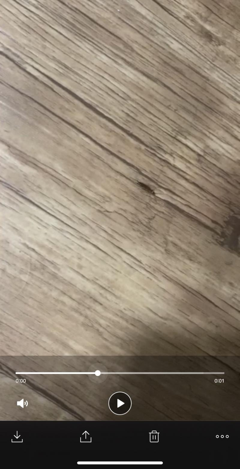 이거ㅠ 기어다님 으악
