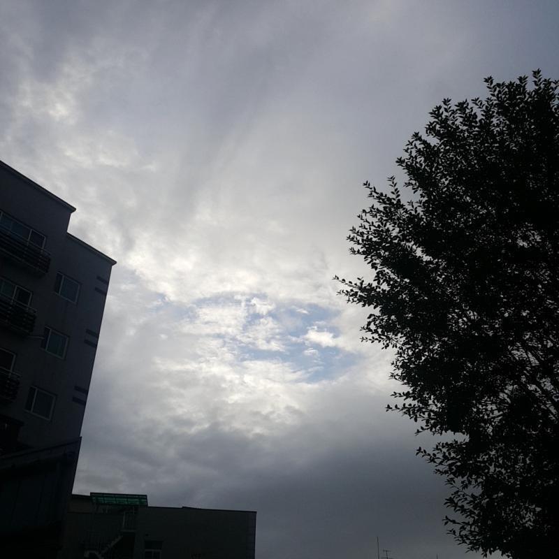 ㅁㅊ 이쁘다...