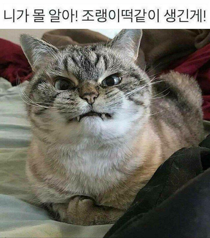나댈때마다 이렇게 말해조바