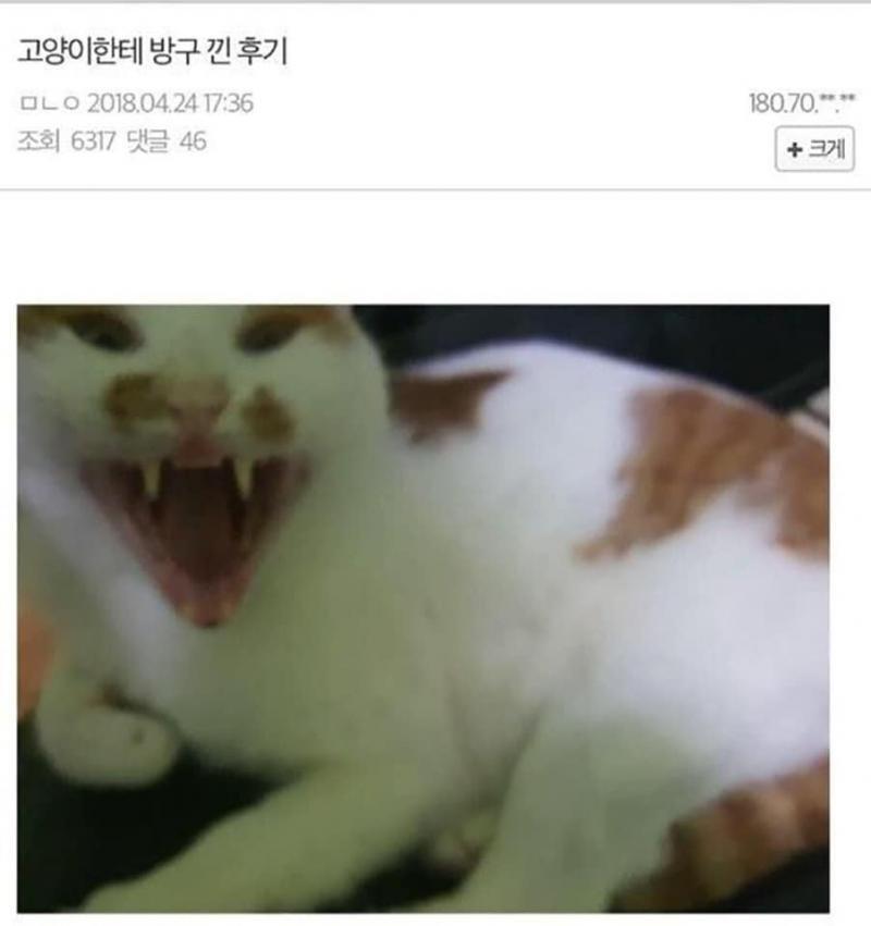 >>18 고마워!!!