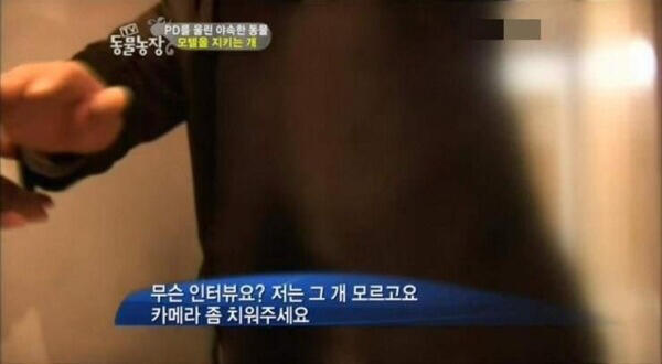 >>28 결말