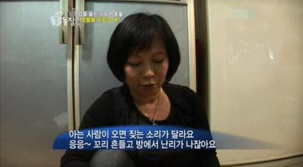 단골손님을 구별하는 꽃순이(강아지,n살) 한장 순서 잘못해서 수정