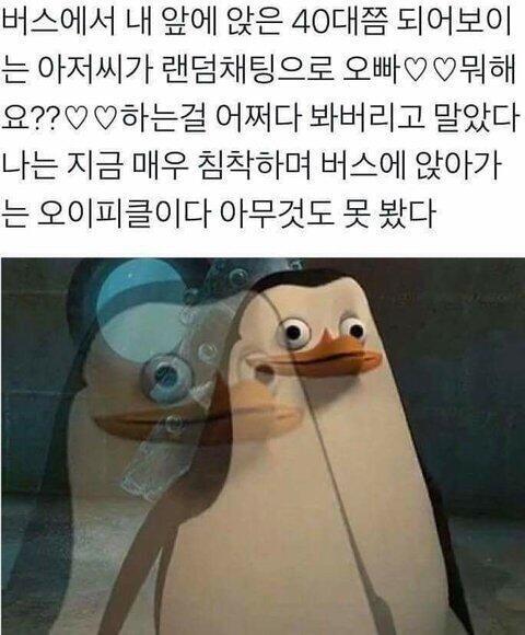 오이피클이다