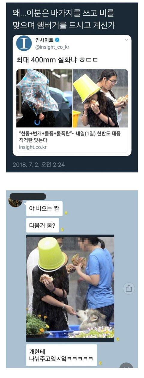 아보카도 어떻게 저렇게 자른거야