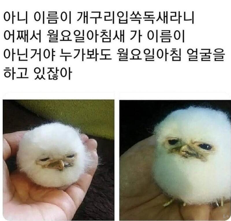 .