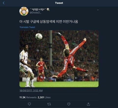 상동염색체