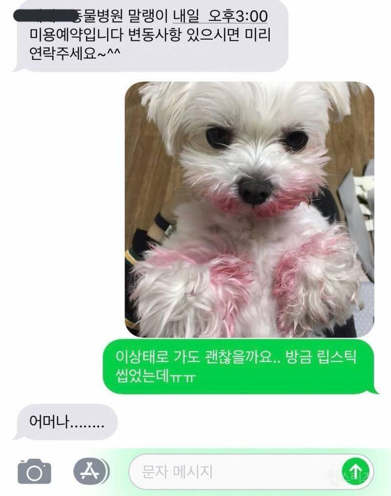 말아라 중복지움##