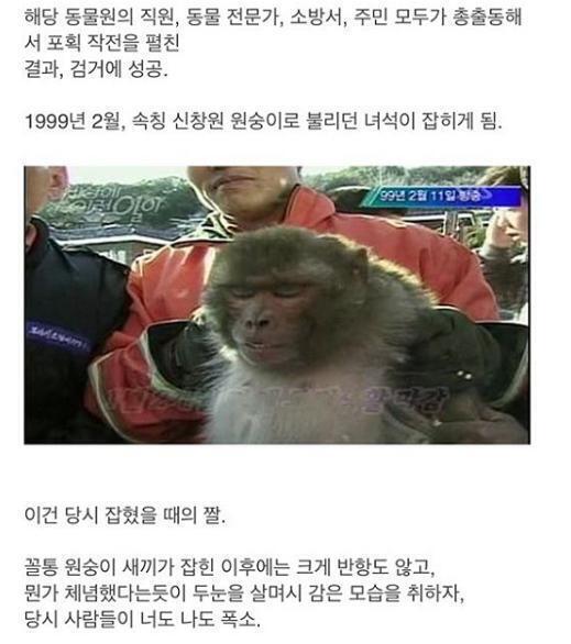 탈옥 레전드