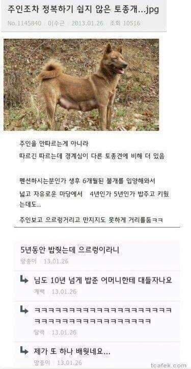 배우고 갑니다